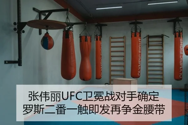 zhang-wei-li-wei-mian-zhan-dui-shou-que-ding-luo-si-er-fan-yi-chu-ji-fa-zai-zheng-jin-yao-dai-2-683.jpg